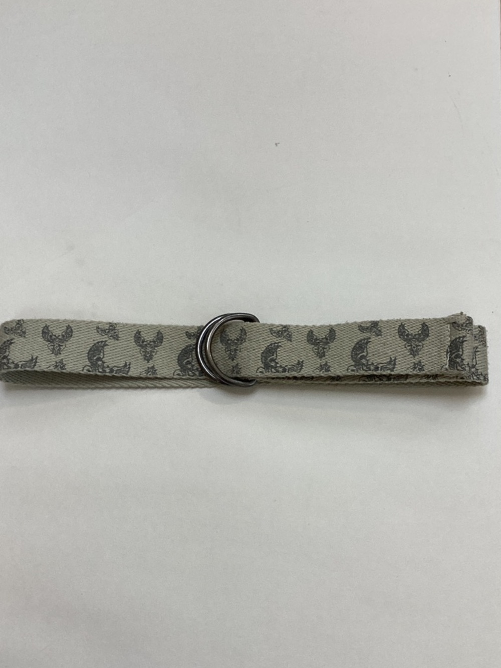 Affliction Wing Grey Beige‎ Canvas Loop Belt Sz 10